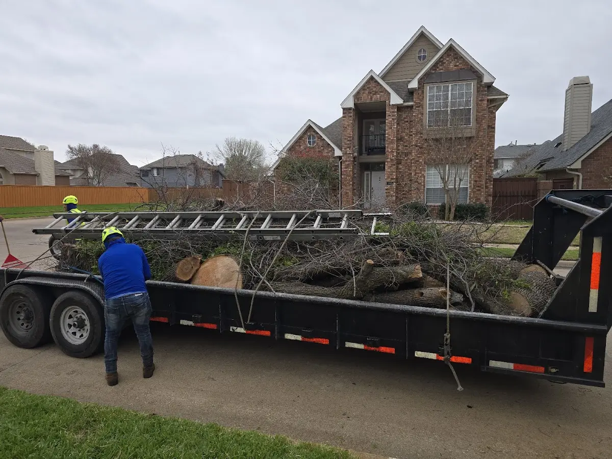 Expert Crown Reduction with proper safety equipment in Garden Valley